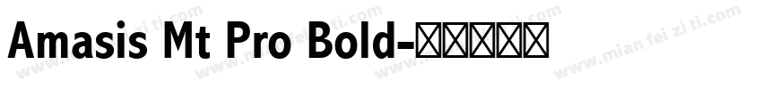 Amasis Mt Pro Bold字体转换